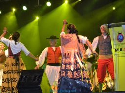 Festival de Folkore en Mula